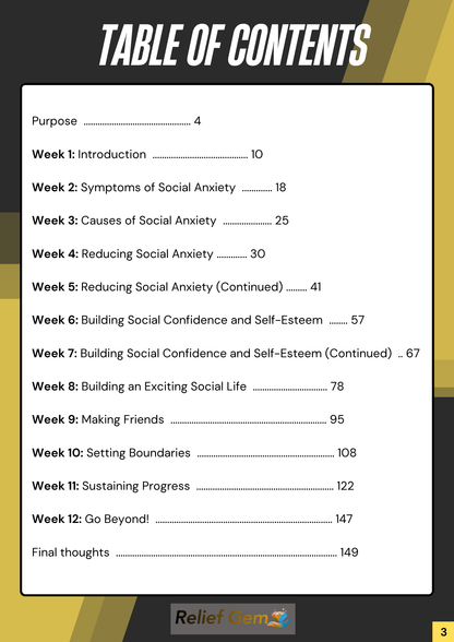 90-Day Success: How To Stop Wasting Your 20s and Build a Social Life In 90 Days